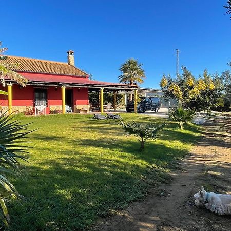 La Buganvilla, Descanso Entre Olivares Hornachuelos Exterior foto
