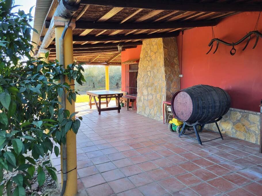 La Buganvilla, Descanso Entre Olivares Hornachuelos Exterior foto