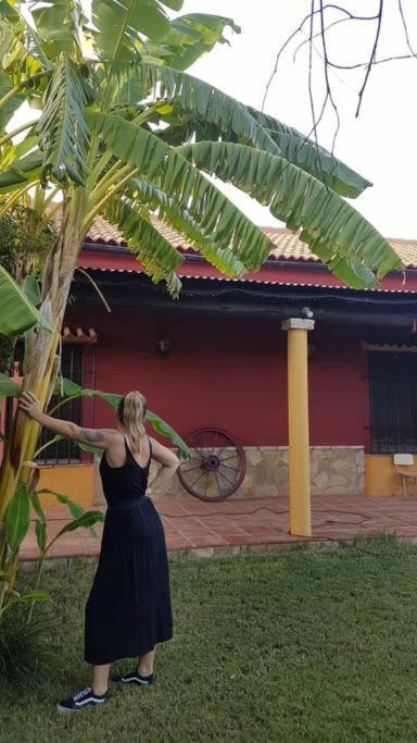 La Buganvilla, Descanso Entre Olivares Hornachuelos Exterior foto