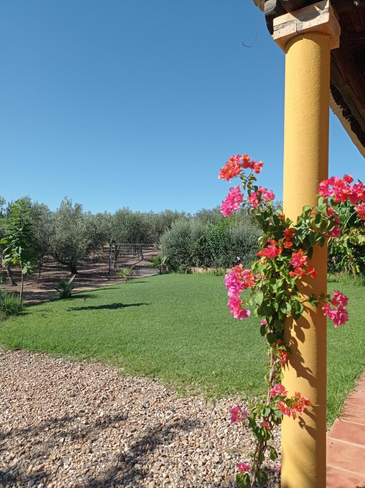 La Buganvilla, Descanso Entre Olivares Hornachuelos Exterior foto