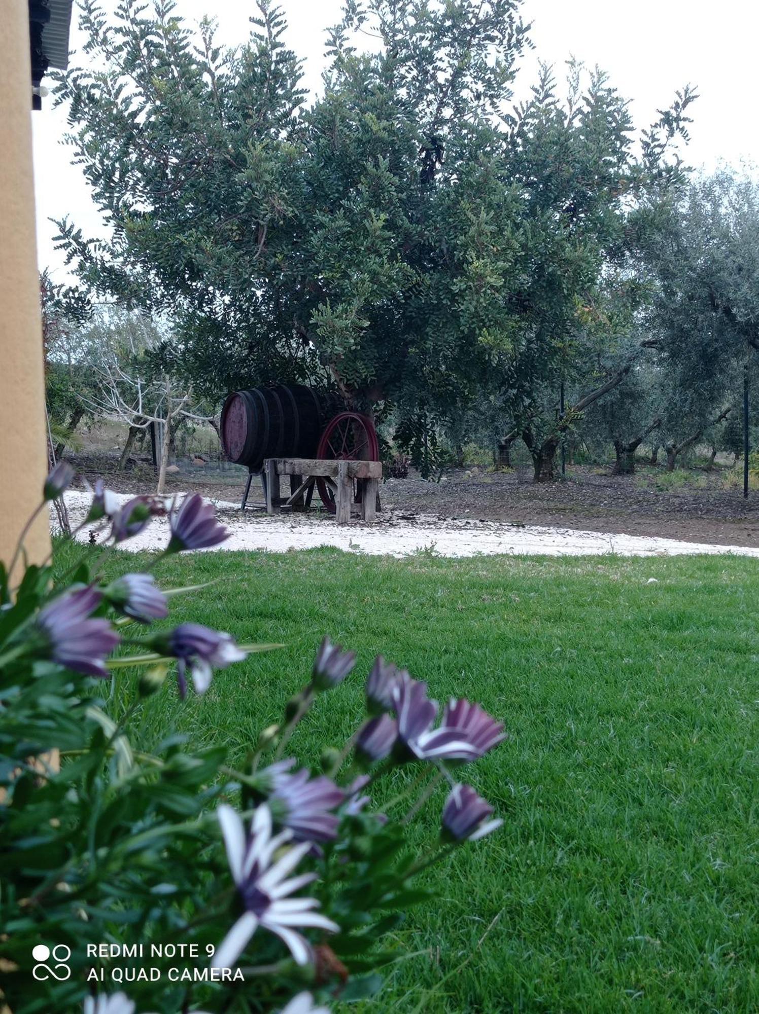 La Buganvilla, Descanso Entre Olivares Hornachuelos Exterior foto